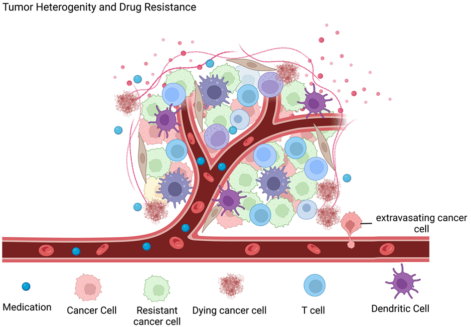 Emerging roles of 3D-culture systems in tackling tumor drug resistance
