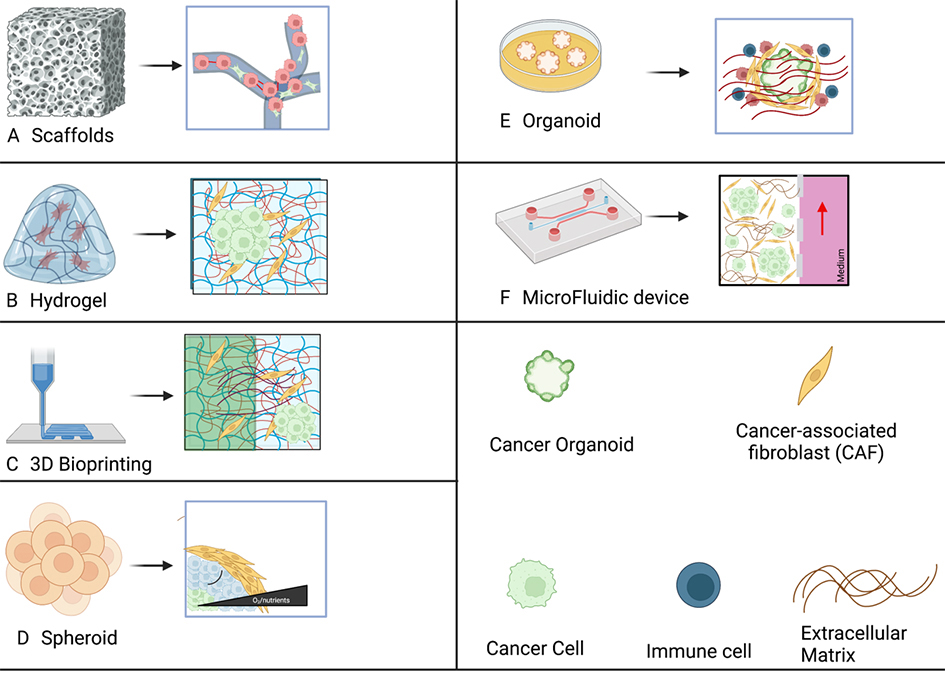 Emerging roles of 3D-culture systems in tackling tumor drug resistance