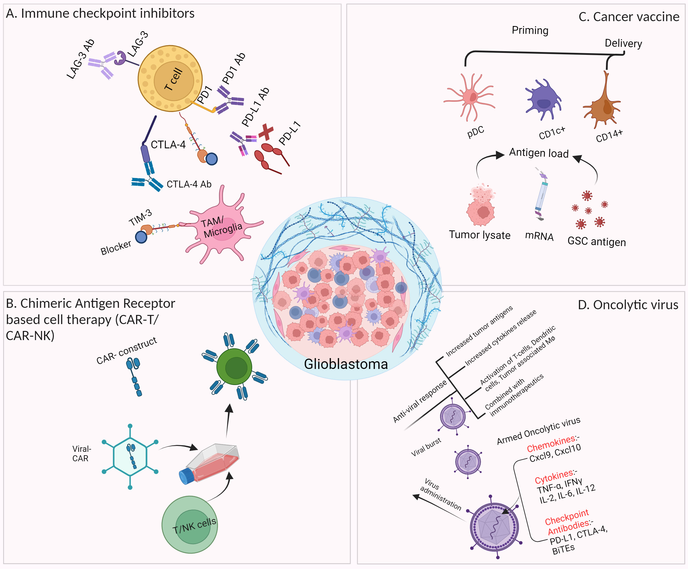 Drug resistance in glioblastoma: from chemo- to immunotherapy
