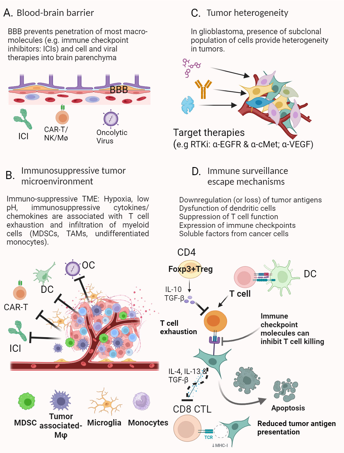 Drug resistance in glioblastoma: from chemo- to immunotherapy