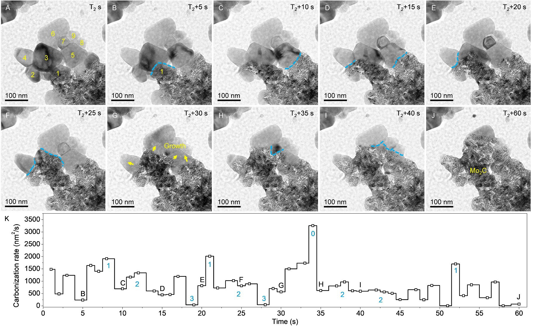 Revealing the dynamic formation mechanism of porous Mo<sub>2</sub>C: an <i>in-situ</i> TEM study