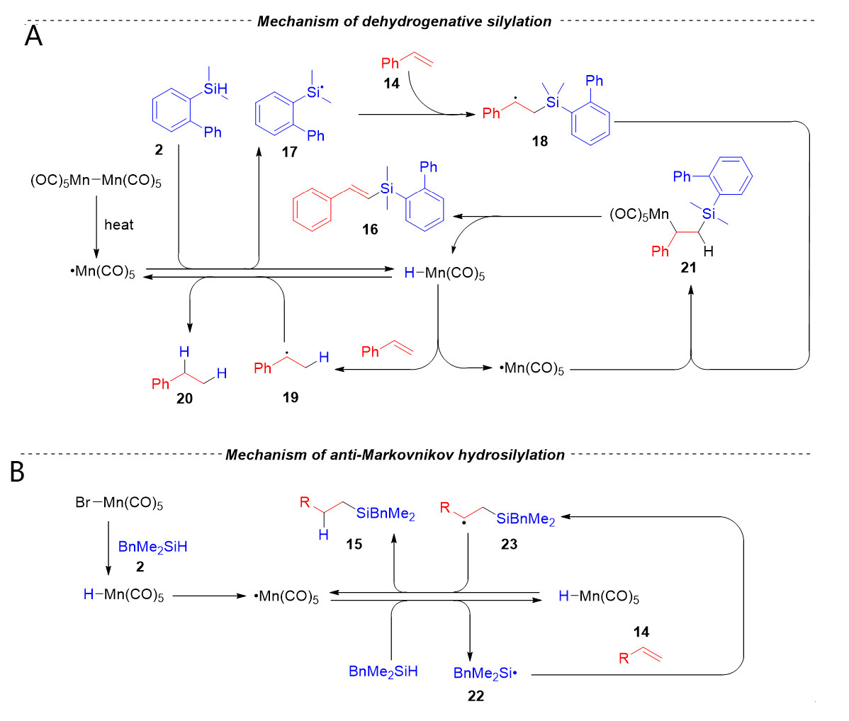 Recent progress of decacarbonyldimanganese catalysis