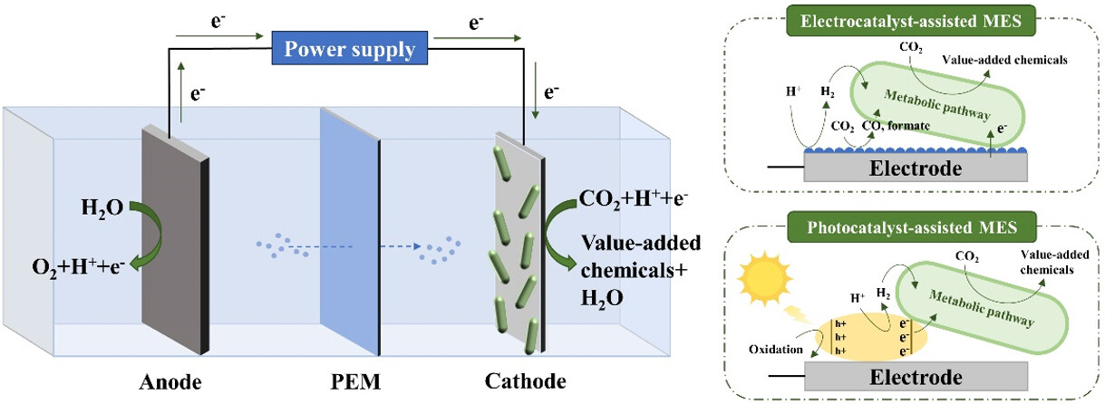 Cathode materials in microbial electrosynthesis systems for carbon dioxide reduction: recent progress and perspectives