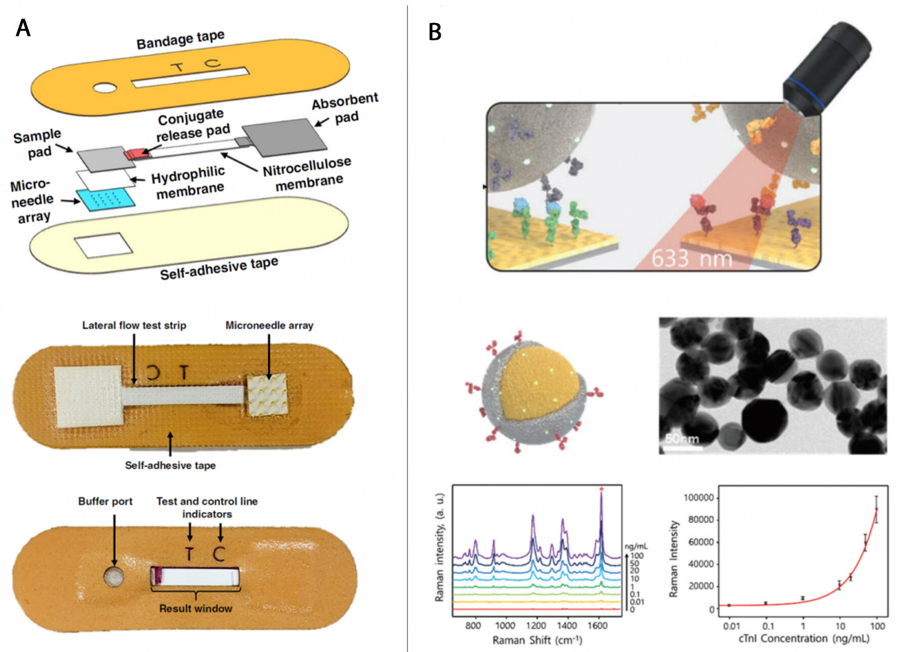 Advancing cardiovascular disease prediction: portable or wearable devices for automatic and rapid blood sample collection for biomarker detection with simultaneous physiological marker measurement